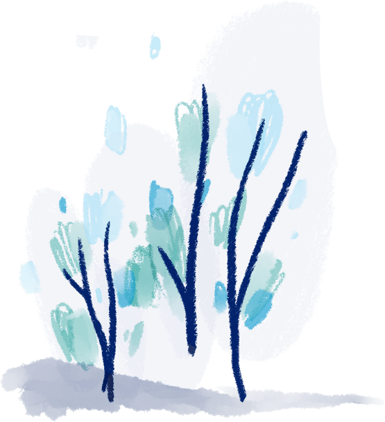 quote illustration